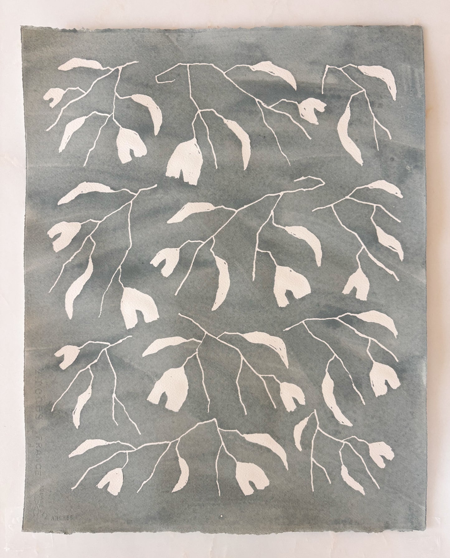 planted by water: de nimes (1)