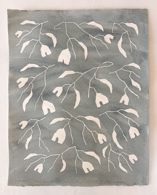 planted by water: de nimes (1)