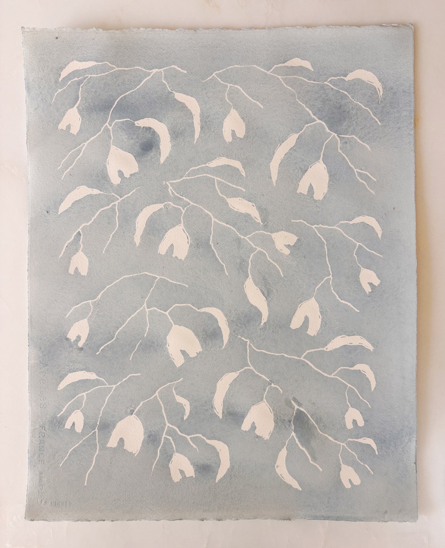 planted by water: kittiwake (1)