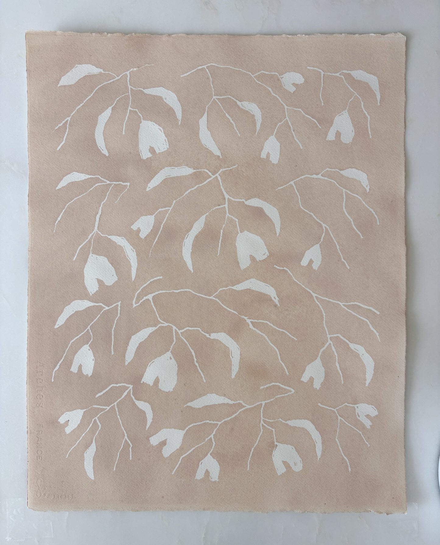 planted by water: setting plaster (1)